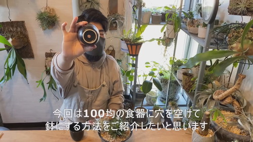 「ドリル不要!!100均の食器に穴を空けて鉢にする方法【観葉植物】ダイソー」