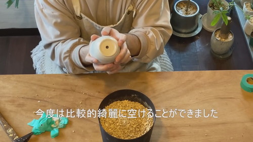 「ドリル不要!!100均の食器に穴を空けて鉢にする方法【観葉植物】ダイソー」