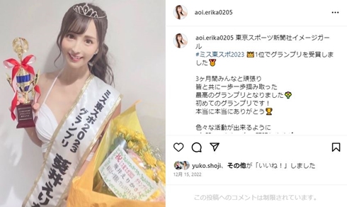 葵井えりか