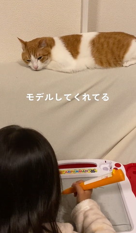 ソファでくつろぐ猫目を細める