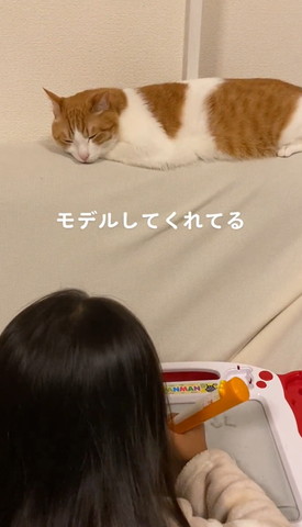 ソファでくつろぐ猫目つむる