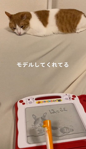 オレンジのペンと猫の絵