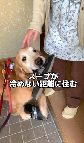 スープが覚めない距離に住むテロップ