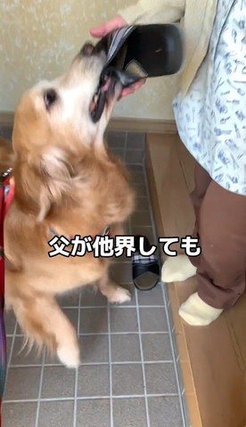 父が他界してもテロップ