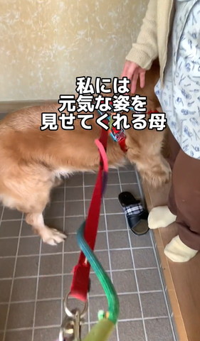 私には元気な姿を見せてくれる母テロップ