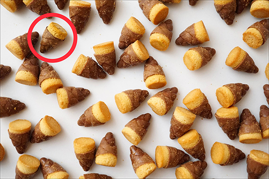 たけのこの里　木彫りを探せクイズ