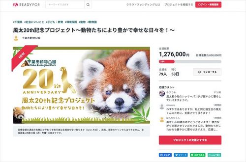 レッサーパンダの風太くんのクラウドファンディング
