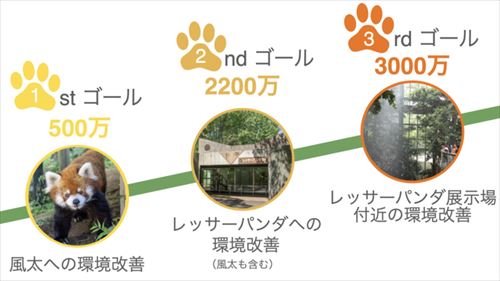 レッサーパンダの風太くんのクラウドファンディング