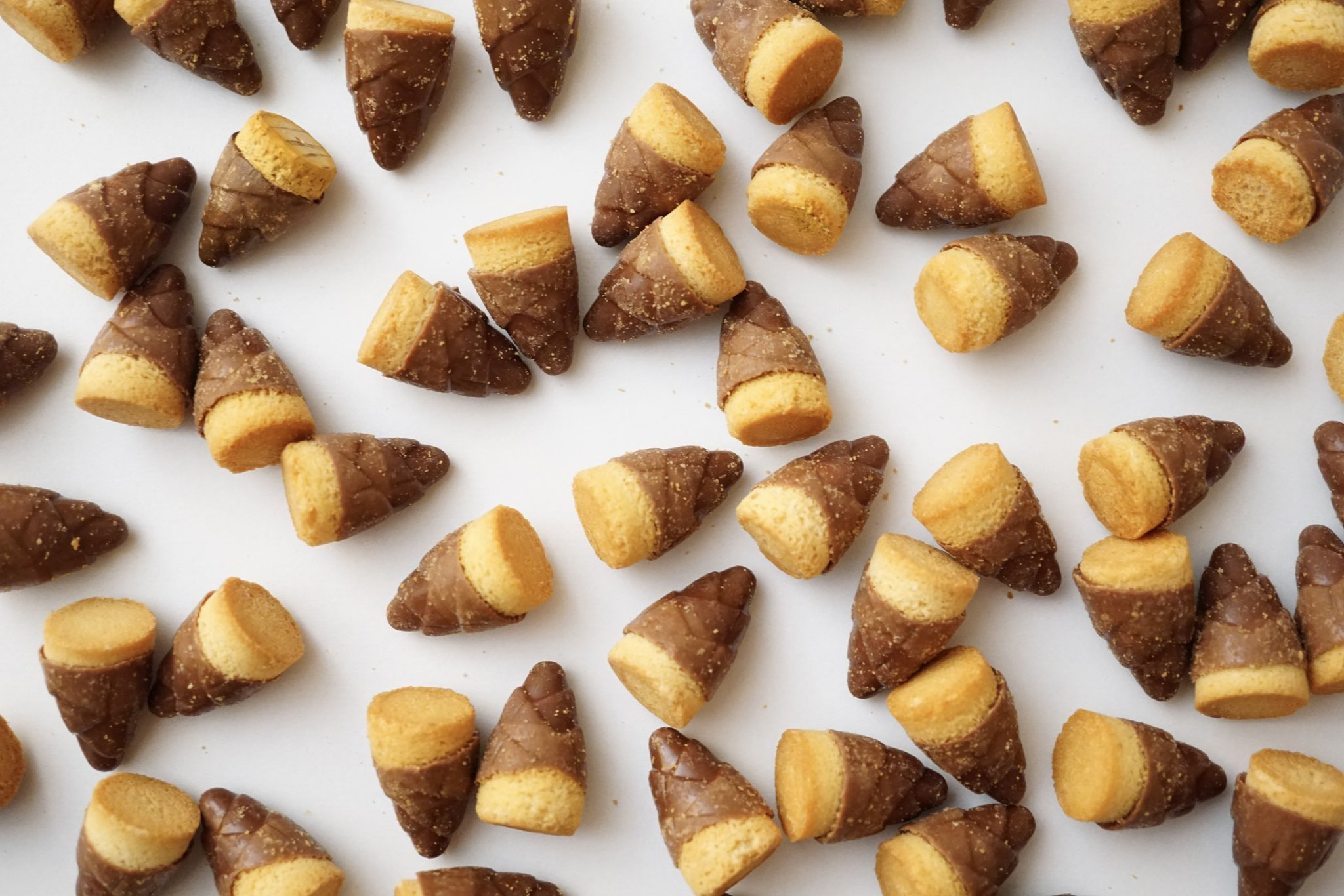 この中に1つだけ“木彫り作品”が隠れています　たくさんの「たけのこの里」に紛れた木彫りを探すクイズが難問だと話題