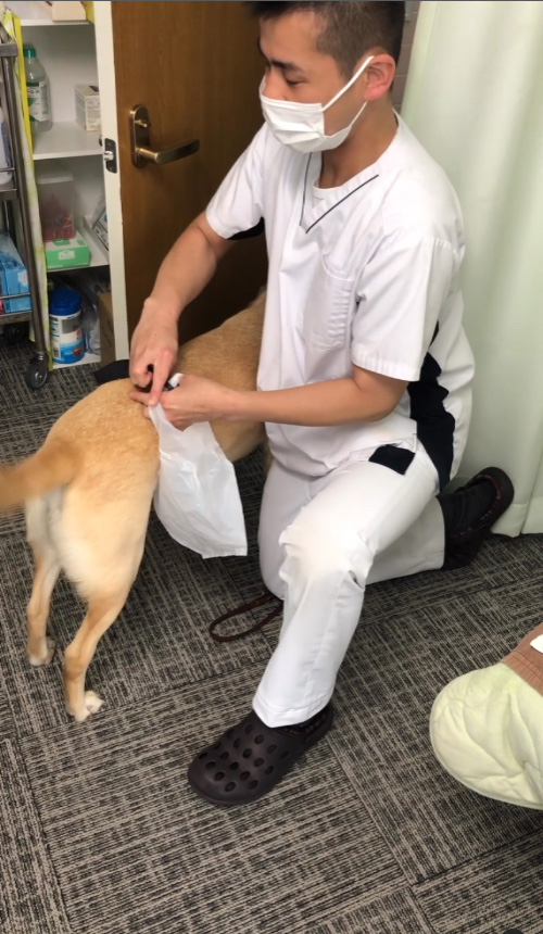 動画冒頭