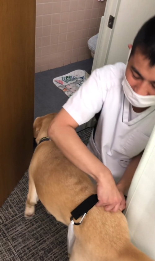 ベルトを外す