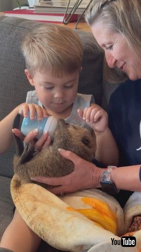 「Little Boy Sitting With Grandmother Feeds Baby Beaver - 1415519」