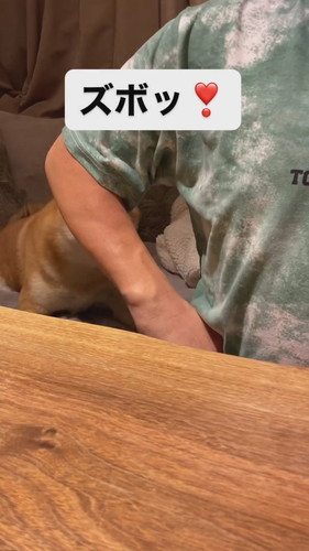 「父ちゃんが教えた謎の芸」