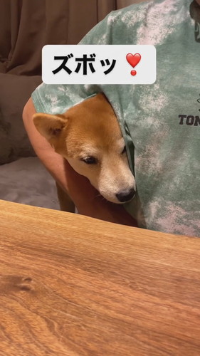 「父ちゃんが教えた謎の芸」