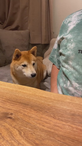 「父ちゃんが教えた謎の芸」