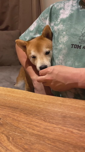 「父ちゃんが教えた謎の芸」