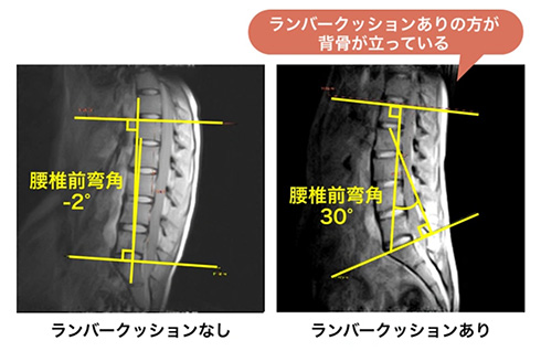 西川 腰まくら クッション