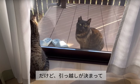 だけど引っ越しが決まってテロップ