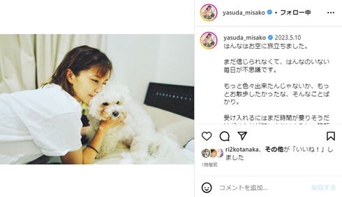 安田美沙子と愛犬