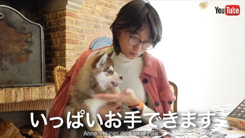 フランス移住した杏さんの愛犬・タオキ