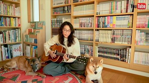 フランス移住した杏の愛犬・タオキ