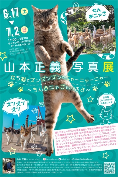 立ち猫の写真展