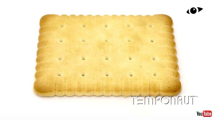 水に浸した27日後……放置されたビスケットが“ゾンビ化”するタイムラプス動画　ホラー映画のような変貌ぶりがすごい