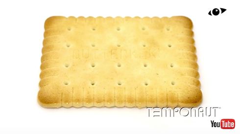 ビスケット カビ タイムラプス