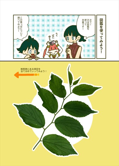 同人誌『マンガでわかる 樹木図かんの使い方　樹木れぽーとvol.5』