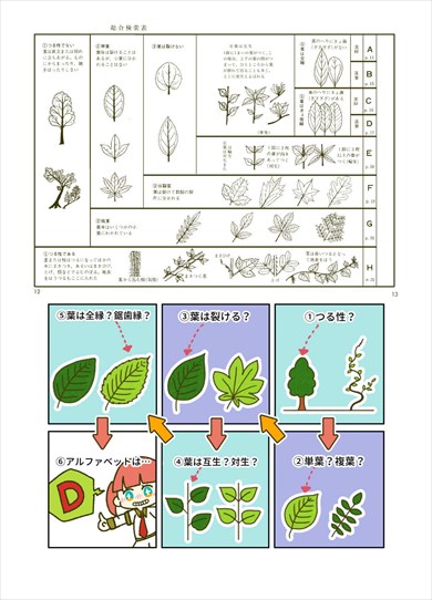 同人誌『マンガでわかる 樹木図かんの使い方　樹木れぽーとvol.5』