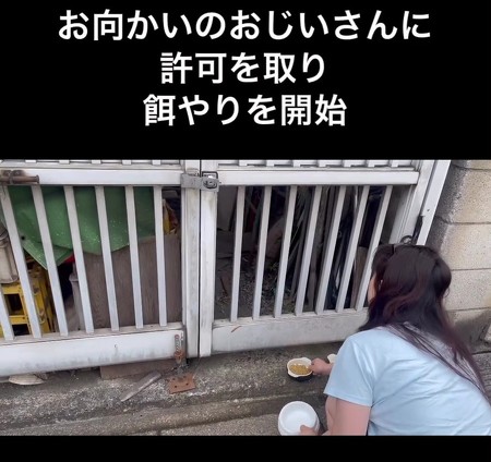 えさやりを開始