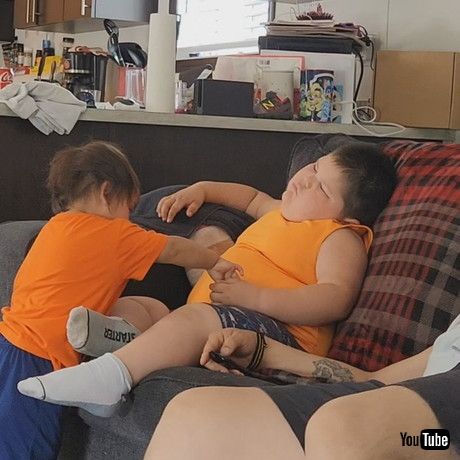 「Little Brother Steals Big Sibling's Candy || ViralHog」