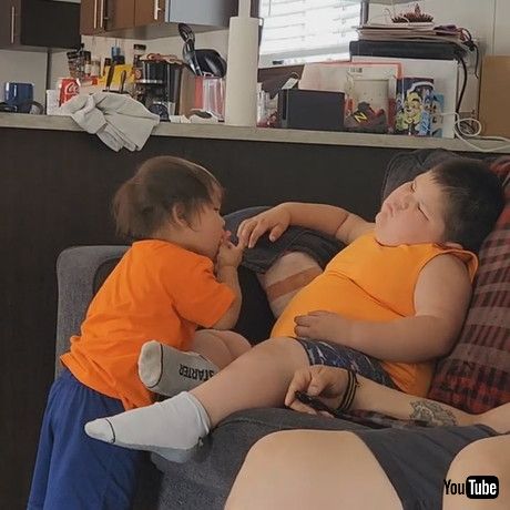 「Little Brother Steals Big Sibling's Candy || ViralHog」