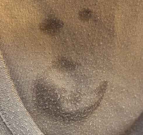 子ども 2歳 涙の跡 顔 プリン 母の服