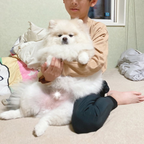 息子さんとワンコ