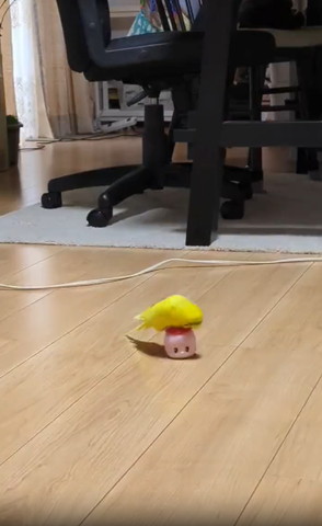 ノリに乗って頭右側に向けるインコ