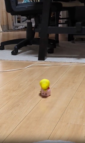 ノリに乗って頭下に向けるインコ