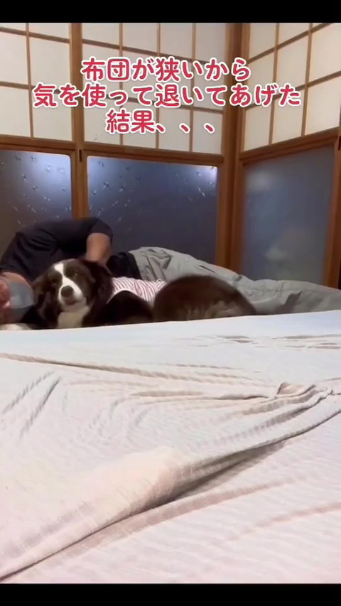 犬