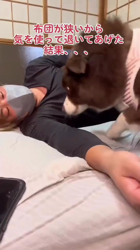 犬
