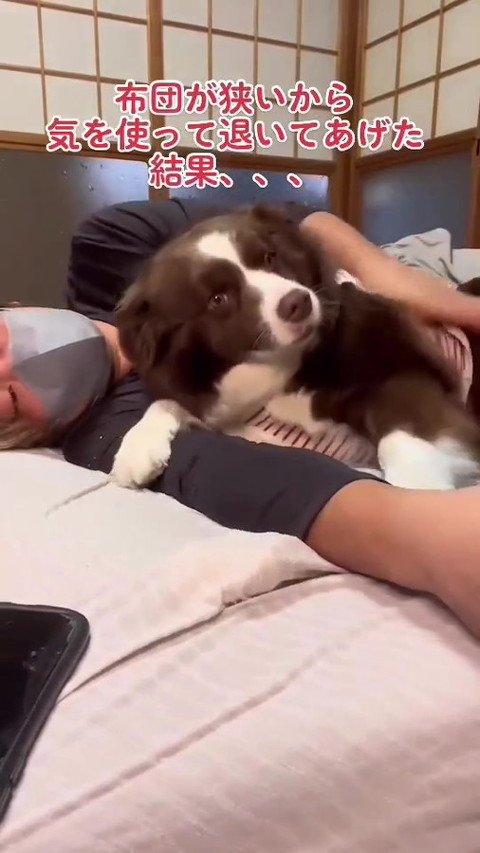 犬