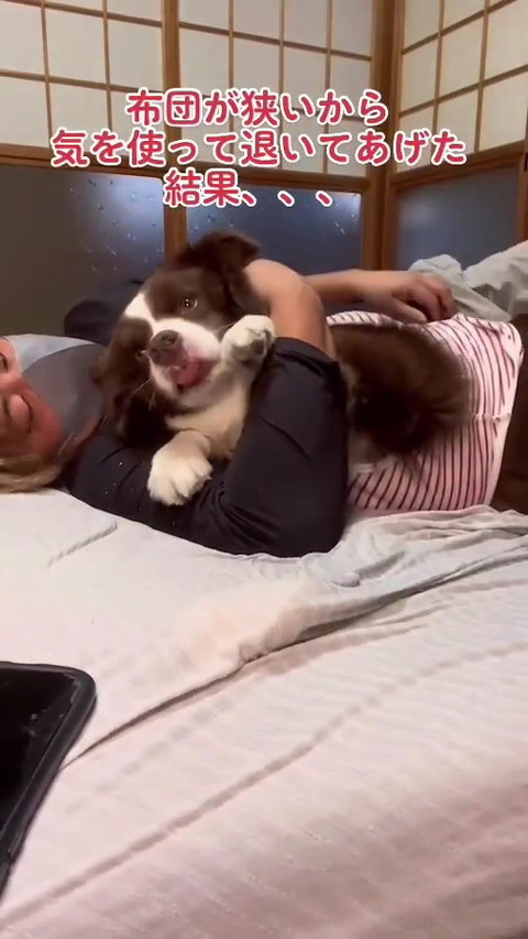 犬