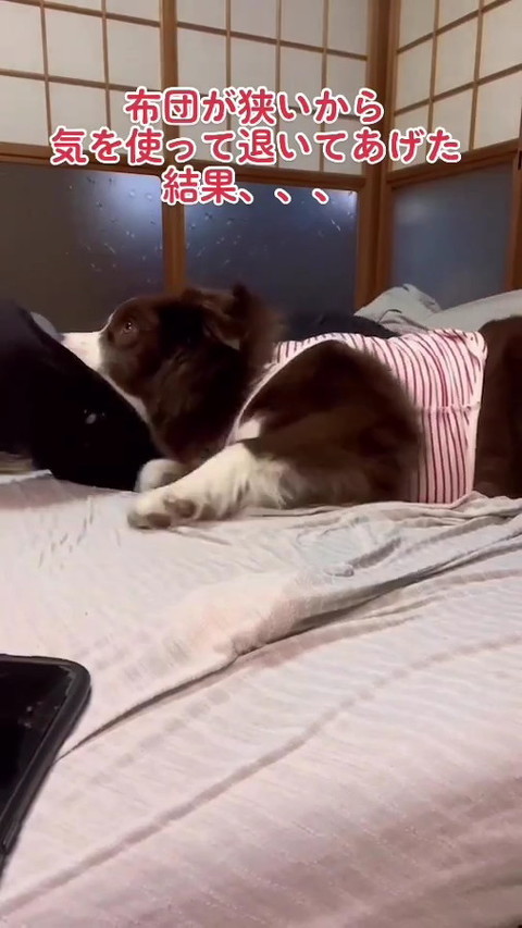 犬