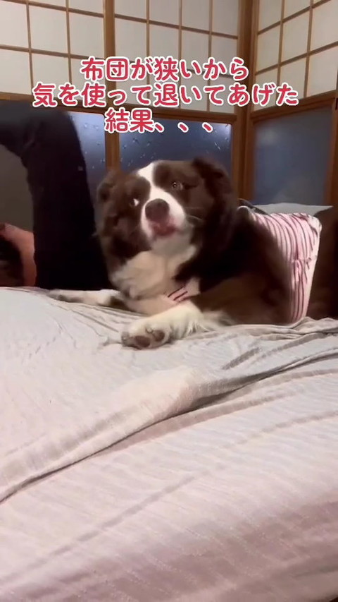 犬