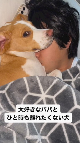 「大好きなパパとひと時も離れたくない犬」