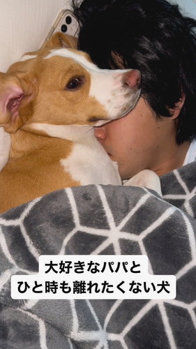「大好きなパパとひと時も離れたくない犬」