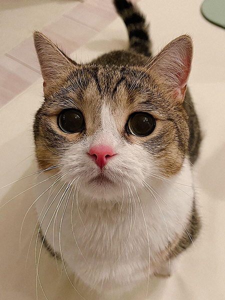 昼と夜で顔が違う