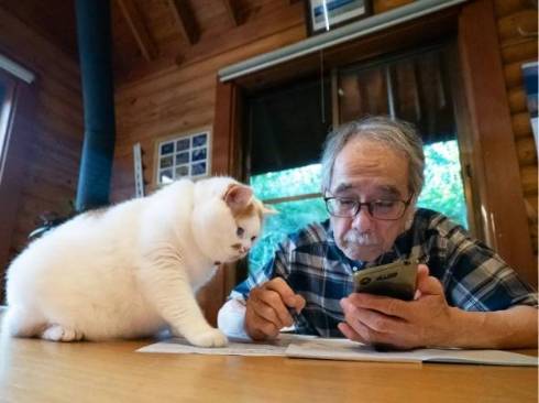 お父さんの邪魔をする猫