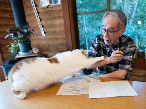 お父さんの邪魔をする猫