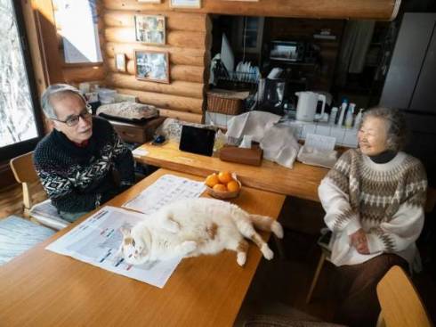 お父さんの邪魔をする猫