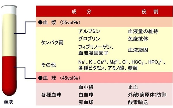 イヌ用人工血液